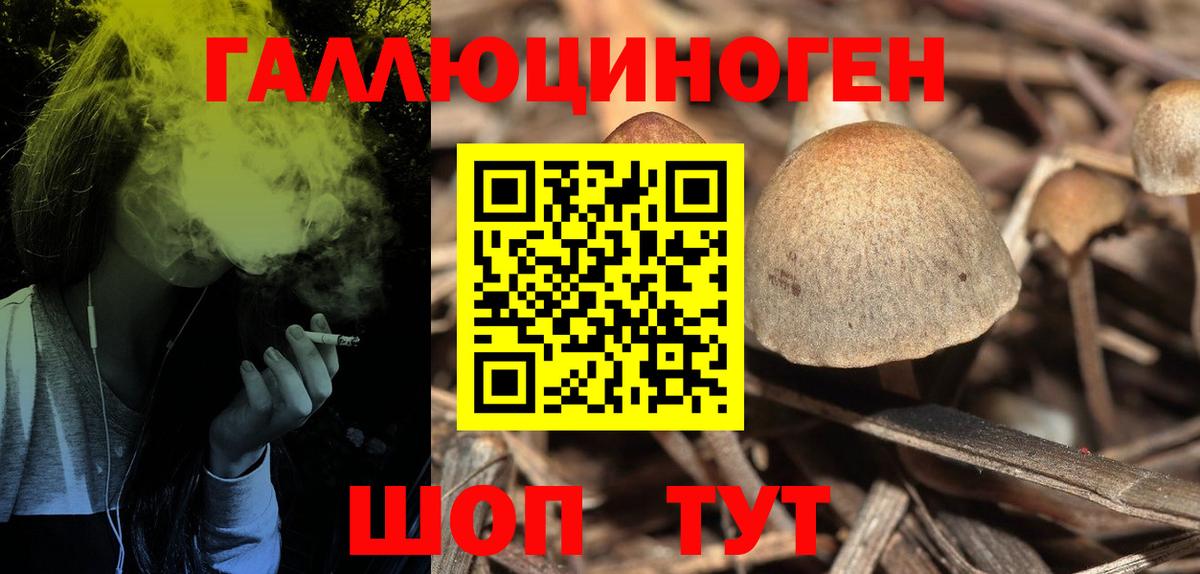 Псилоцибиновые грибы мухоморы Лыткарино